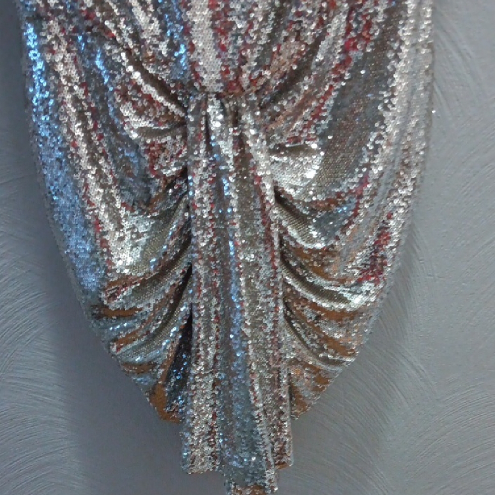 LBV Silver Sequin Dress  4 NWT - Picture 6 of 6